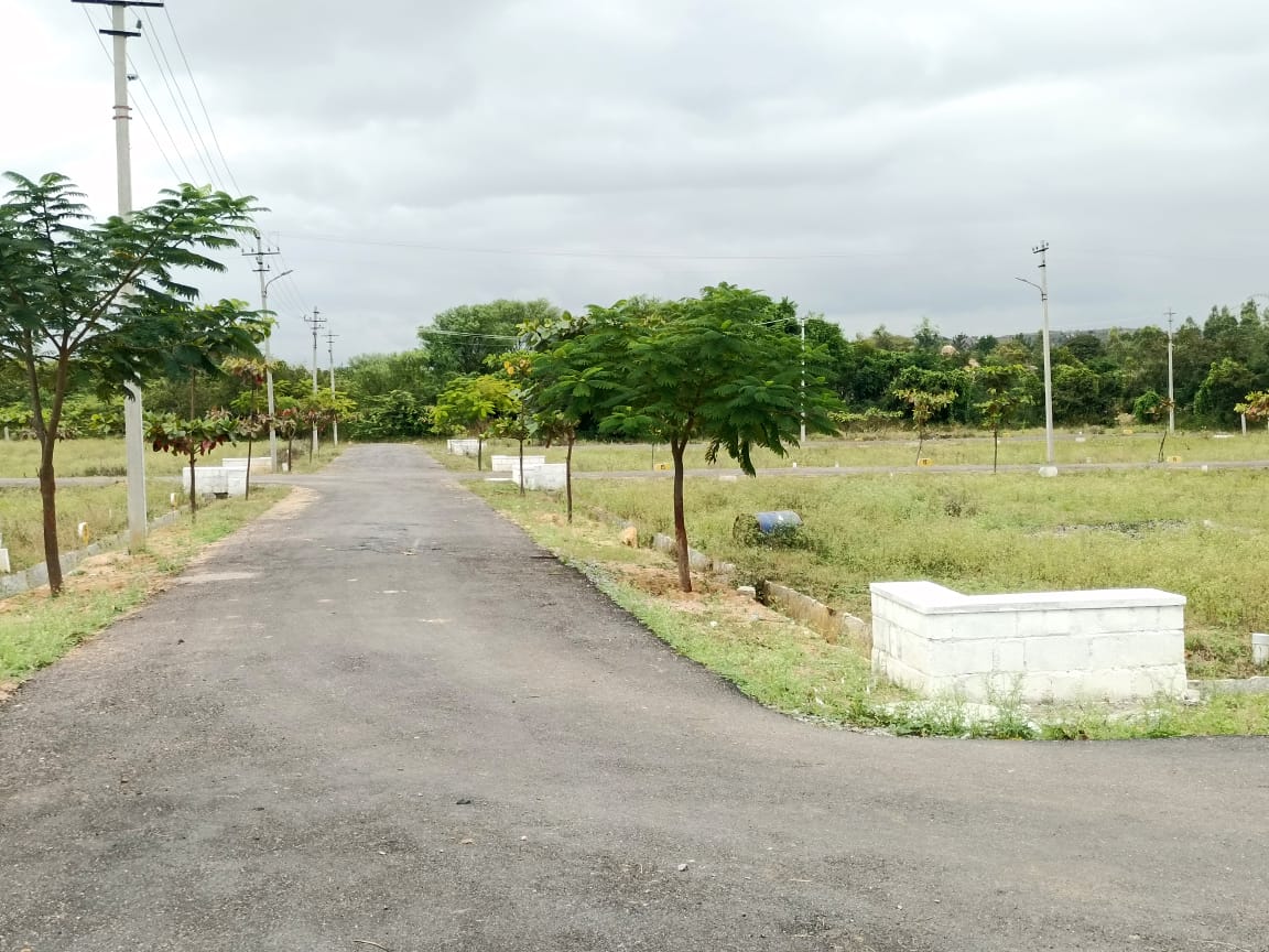 Residential Plots For Sale